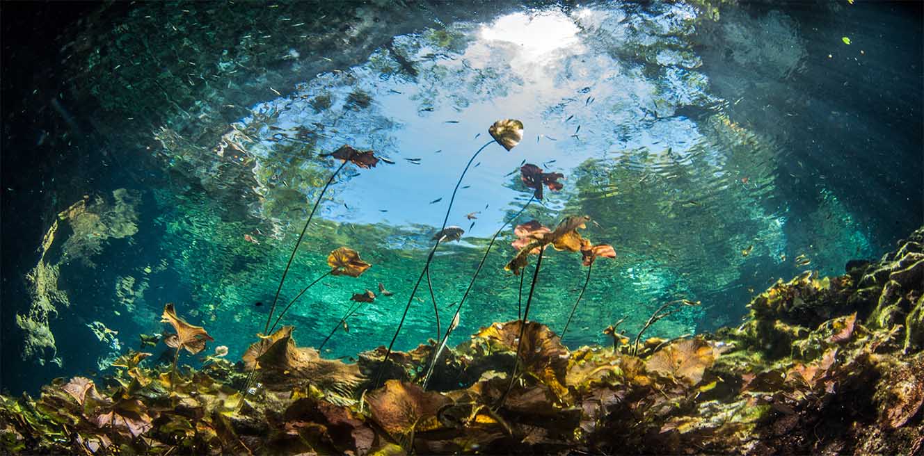 Tulum Private Experience – Ruins, Cenote & Beach Escape