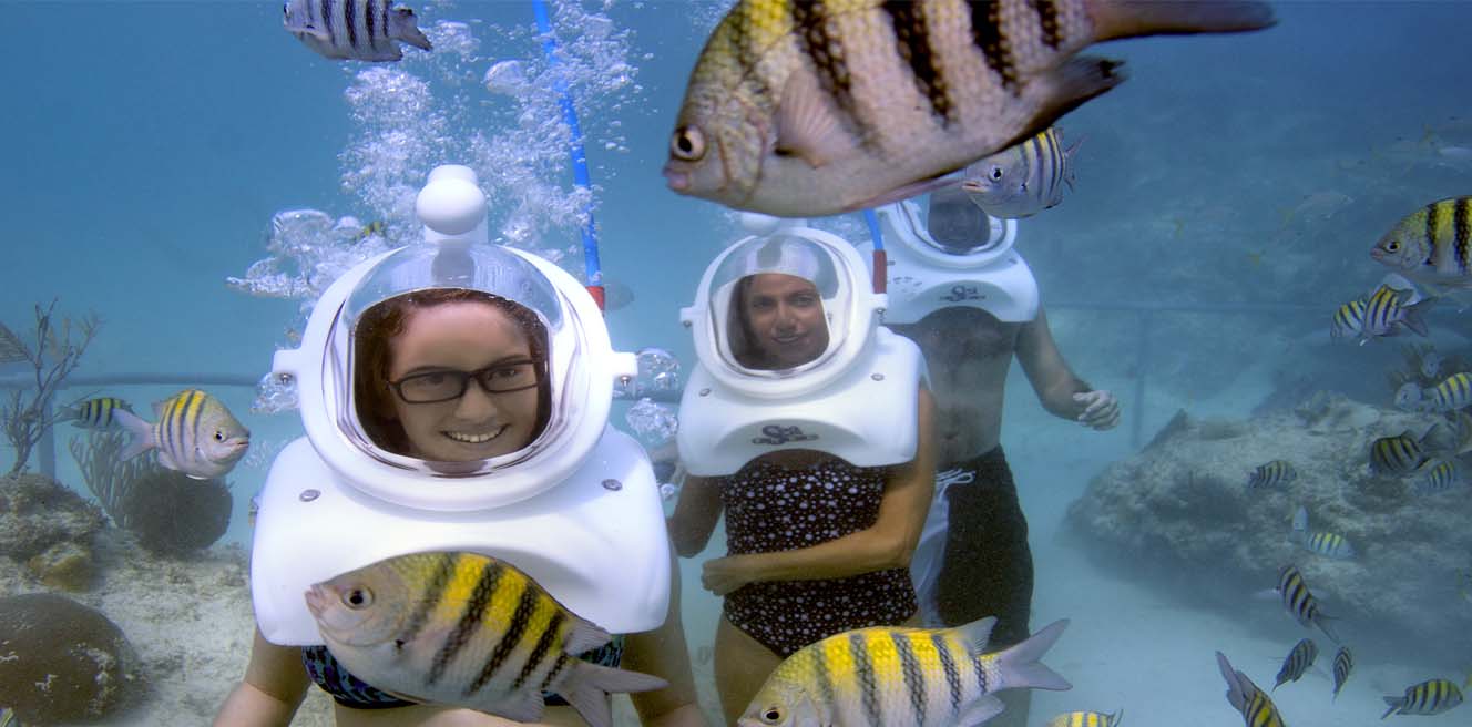 Xcaret All-Inclusive Private Experience – Shows, Nature & Culture